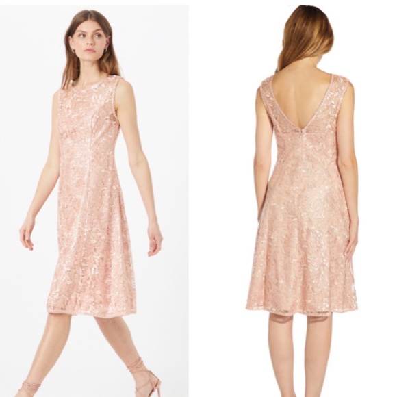 Adrianna Papell 16 Rose Pink Shimmery Detail Fit Flare Event Dress Mother Bride‎ - Picture 1 of 15
